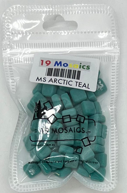 MS Arctic Teal