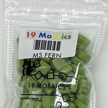 MS Fern