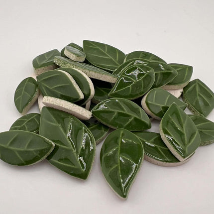 R Glossy Green Leaves