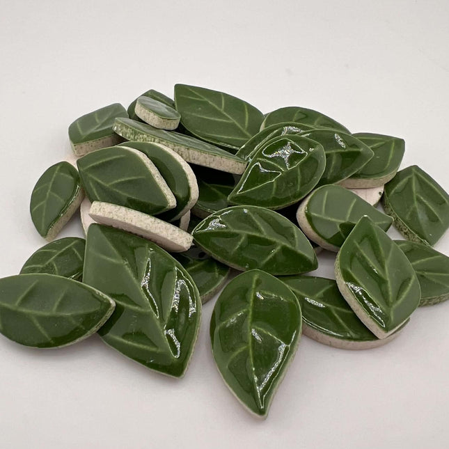R Glossy Green Leaves