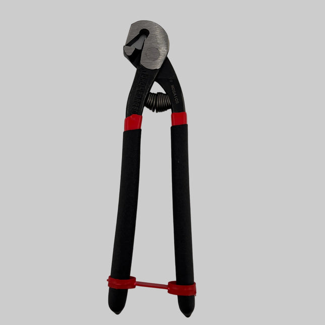 19 Mosaics - Parrot Nippers