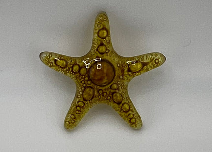 STARFISH BROWN