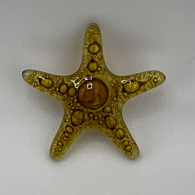 STARFISH BROWN