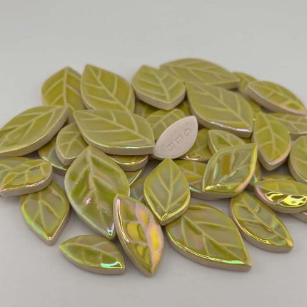 R Iridescent Lime Leaves