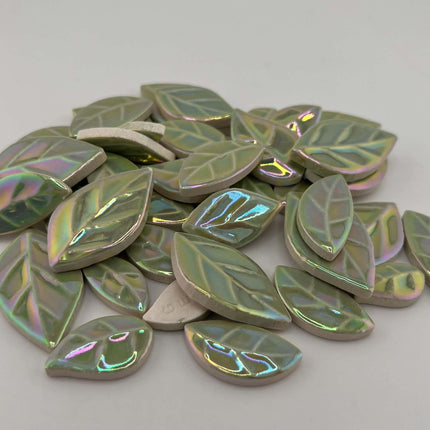 R Iridescent Mint Leaves