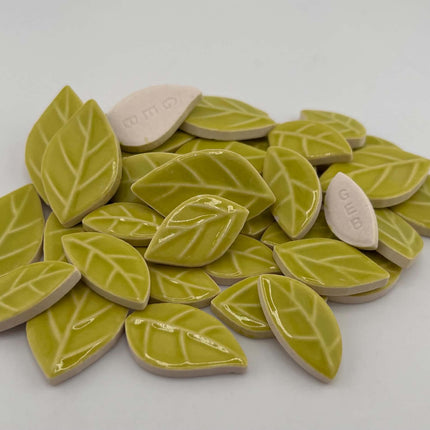 R Glossy Lime Leaves