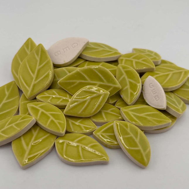R Glossy Lime Leaves