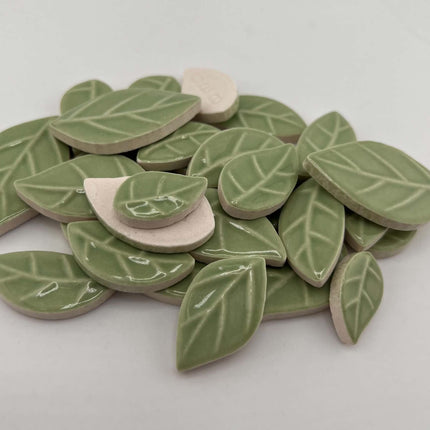 R Glossy Mint Leaves